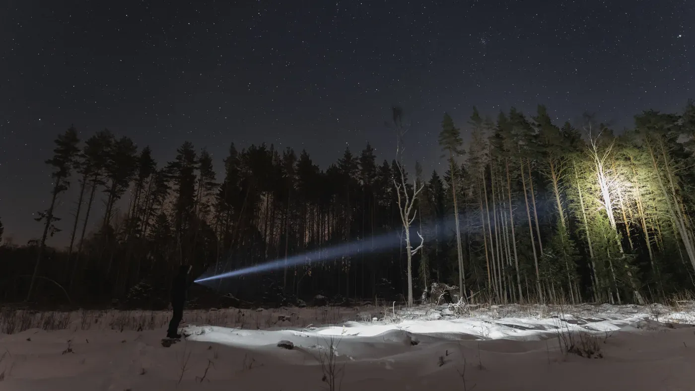 Stark ficklampsstråle lyser upp snötäckt vinterskog nattetid