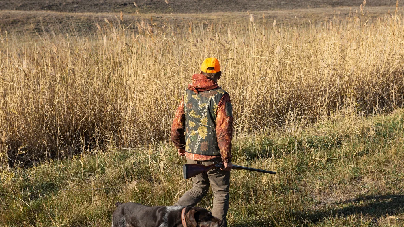 Jägare med hagelgevär går genom vasst gräs med hund