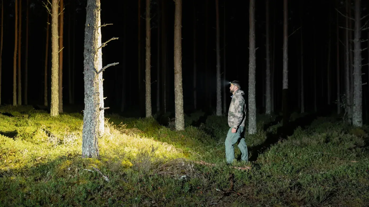 Jägare med pannlampa vandrar genom mörk tallskog