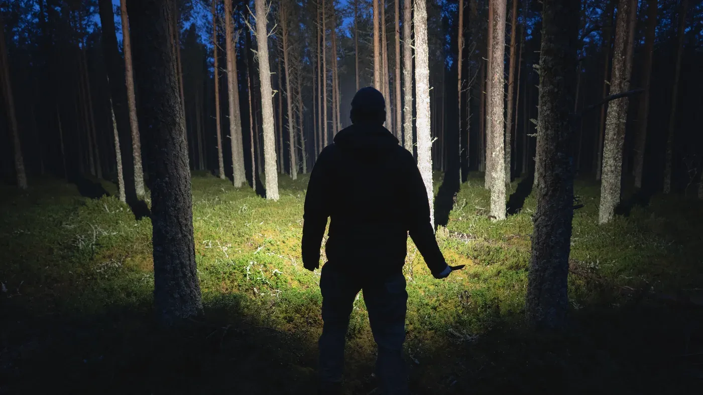Siluett av person i upplyst skogsglänta under sena kvällen